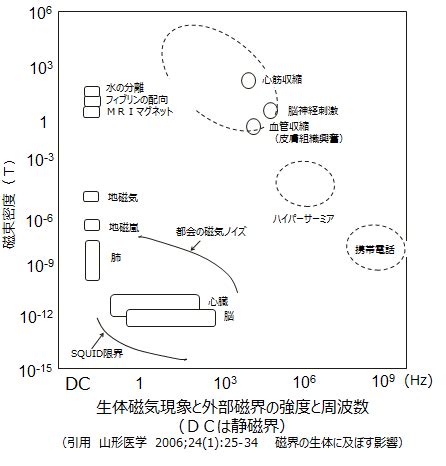 磁場影響|生物に及ぼす磁気の影響